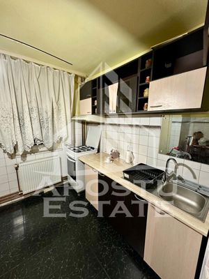 Apartament 2 camere, centrala proprie, Aradului - imagine 9