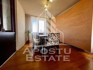 Penthouse cu 4 camere, 2 bai, in zona Buziasului (Pet Friendly) - imagine 20