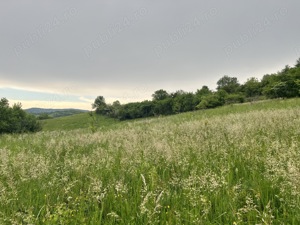 Vand teren in Tauti, com Floresti, jud Cluj - imagine 2