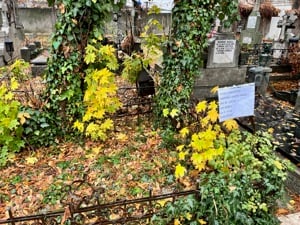 Cedez concesiune loc dublu cimitirul Sfanta Vineri - imagine 3