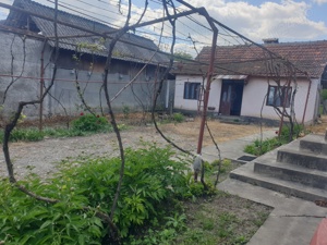 Casa de vanzare Sisesti, Mehedinti - imagine 2 Casa de vanzare Sisesti, Mehedinti - imagine 2