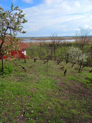 Teren intravilan de vânzare, Tulcea, Strada Orizontului (Zona Bididia), 900 mp - imagine 3