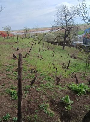 Teren intravilan de vânzare, Tulcea, Strada Orizontului (Zona Bididia), 900 mp - imagine 2