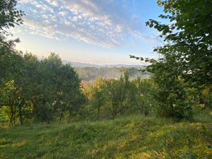 Teren de vanzare in Bughea de jos, Arges - imagine 2