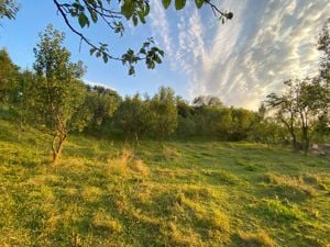 Teren de vanzare in Bughea de jos, Arges