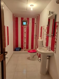 Vand casa cu gradina mare in localitatea CRAIVA + 1 ha de teren - imagine 3