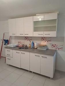 Vand casa cu gradina mare in localitatea CRAIVA + 1 ha de teren - imagine 2