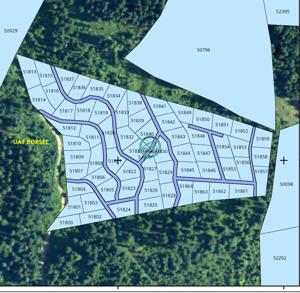 Padure de vanzare sup. 3.6 ha la 400 m de drum asfaltat in Boresc - imagine 2