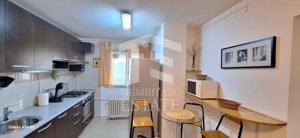 Apartament 2 cam decomandat Drumul Taberi Parc-Hanul Drumetului - imagine 2