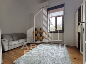 Casa cu parter inalt, 5 camere, renovata si izolata termic, Mehala - imagine 10