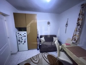 Apartament  decomandat, etaj intermediar, zona Liviu Rebreanu. - imagine 5