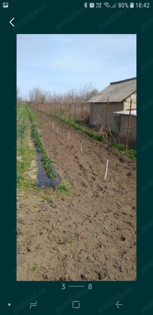 vind casa com Ramnicelu Braila - imagine 4