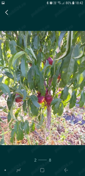 vind casa com Ramnicelu Braila - imagine 5