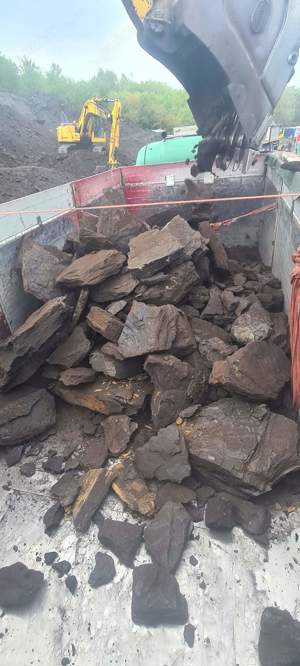 Cărbune lignit - imagine 4