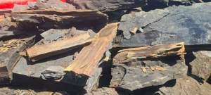 Cărbune lignit - imagine 3