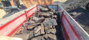 Cărbune lignit - imagine 5