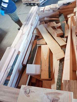 Deșeuri fag - imagine 3