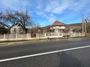 Casa de vanzare cu teren in suprafata de 3000 mp in comuna Creaca - imagine 5