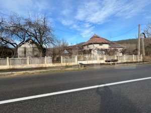 Casa de vanzare cu teren in suprafata de 3000 mp in comuna Creaca - imagine 10