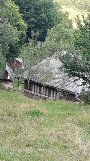 Vând casă în Bistra - imagine 5