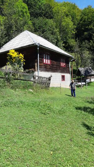 Vând casă în Bistra - imagine 6