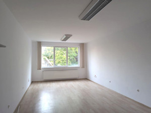 Apartament 2 camere ultracentral,posibilitate birouri - imagine 4