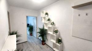 Apartament 1 Camera - Centrala Proprie - Clima - Etaj 2 - Zona Sagului - imagine 7