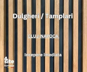 Dulgheri si Tamplari Cluj-Napoca - cu sau fara calificare si experienta 