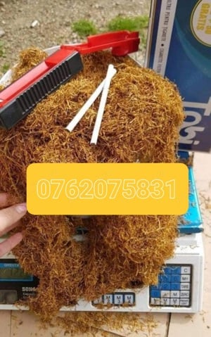 Firicel tutun firicel galben auriu 0.1mm ambalat la găleată 3plus1 gratis