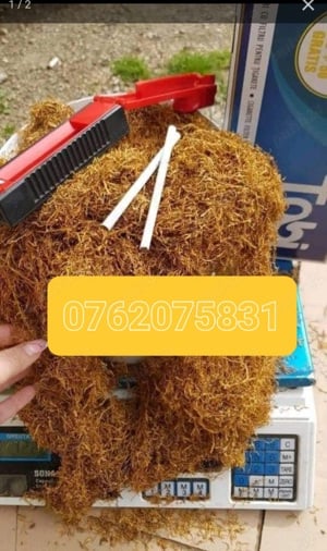 Tutun firicel galben auriu 0.1milimetri ambalat la găleată extrafinn premium oferta valabila 3plus1 