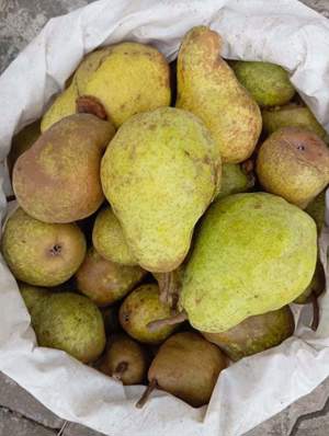 Palinca de pere williams - imagine 2