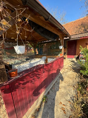 Casa batraneasca in Târnăvița. - imagine 8