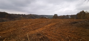 Parcele intravilan cu extravilan Calea Caransebesului km 2 loturi de 1000 mp negociabil - imagine 6