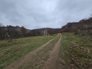 Teren intravilan de vanzare, 1500 Mp, Sighisoara - imagine 7