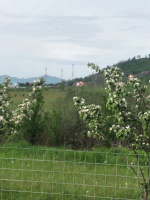 Vând teren în intravilanul orașului