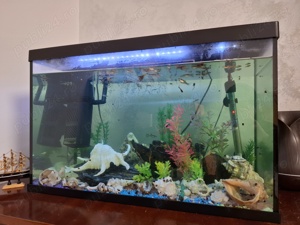 Acvariu  - imagine 2 Acvariu  - imagine 2