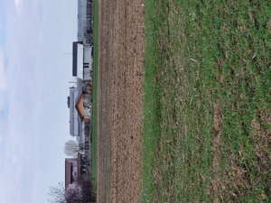 teren de vinzare - imagine 2