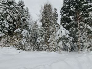 Vand teren in Sinaia- strada Sitarilor