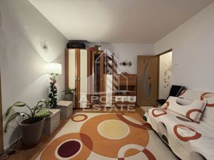 Apartament cu 2 camere in zona Iosefin-Sagului - imagine 3