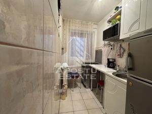 Apartament cu 2 camere in zona Iosefin-Sagului - imagine 12