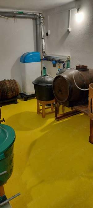 Vin Jidvei Sauvignon Blanc  - imagine 3