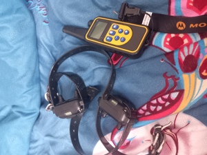 zgarda pentru dresaj