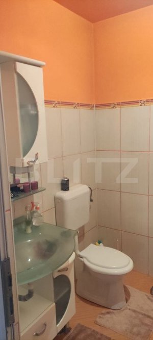 Casa cu 6 camere, 294 mp, zona-Nufarul - imagine 19