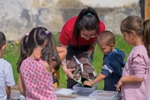 Angajăm pedagogi în domeniul social