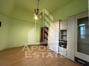 Apartament cu 1 camera, semidecomandat, curte proprie,zona Iosefin - imagine 2