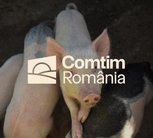 Angajăm Îngrijitor animale, un singur schimb, venit NET de peste 3000 de lei