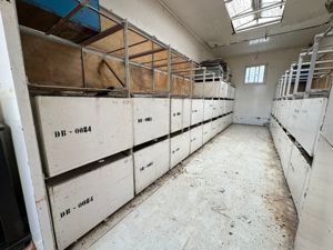 Camion Apicol + Remorca Apicola - imagine 5