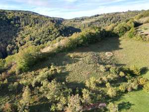 Teren intravilan de vânzare în Șuncuiuș   panoramă formidabilă! - imagine 4