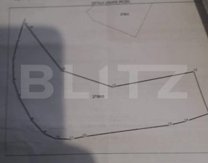 Teren 7000mp(70 Ari)extravilan,utilitati,zona Simionesti - imagine 2