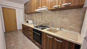 Apartament decomandat in zona USAMV/Platinia - imagine 6